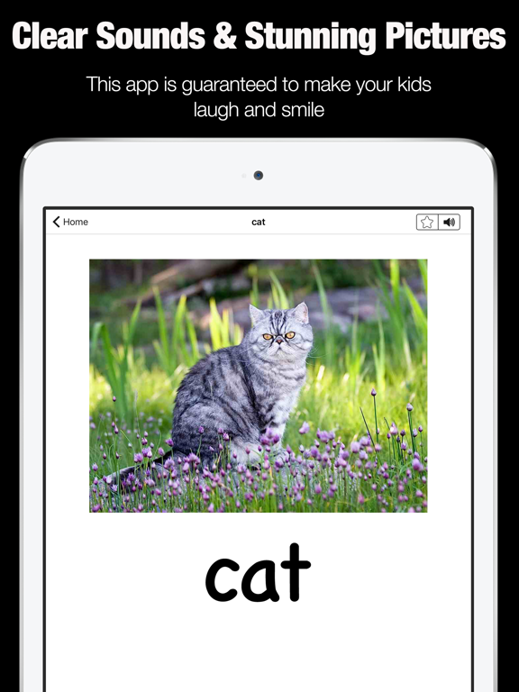 Animal Sounds - Fun Toddler Game iPad screenshot 2 - Education app