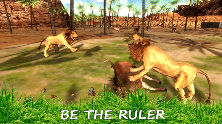 Wild Lion Simulator - Jungle Animal Hunter screenshot-4