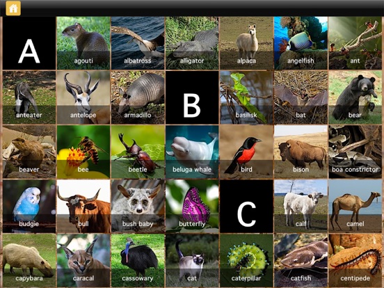 ABC Animals - Your Alphabet Letters Mini Adventure iPad app afbeelding 2