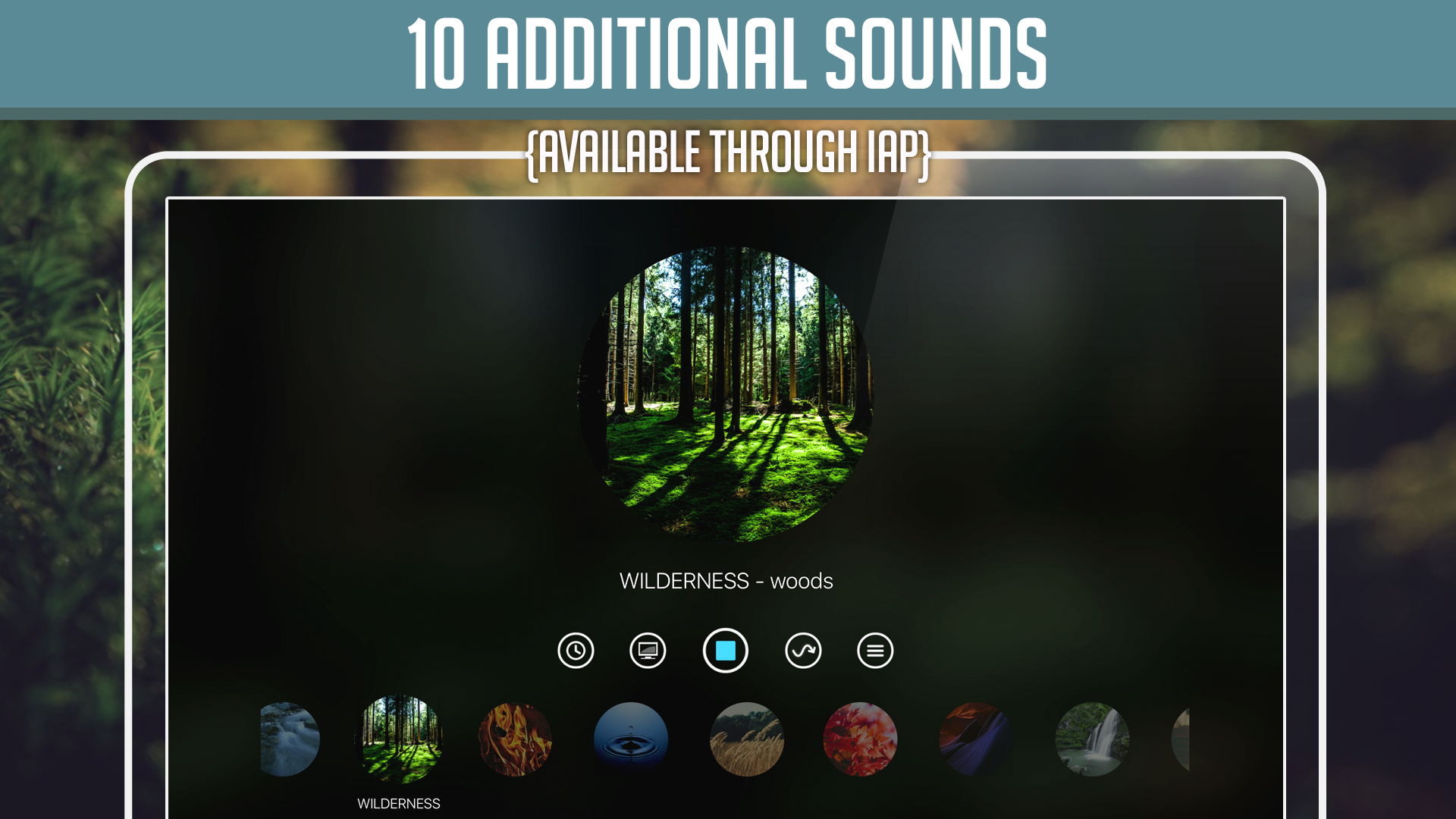 Nature Soundscapes screenshot 15