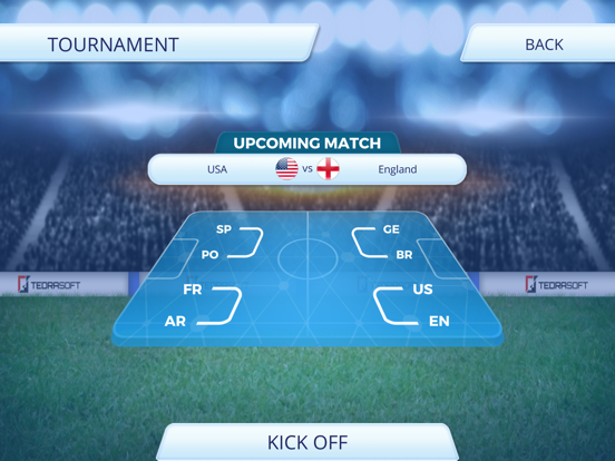 Football Fever ! iPad screenshot
