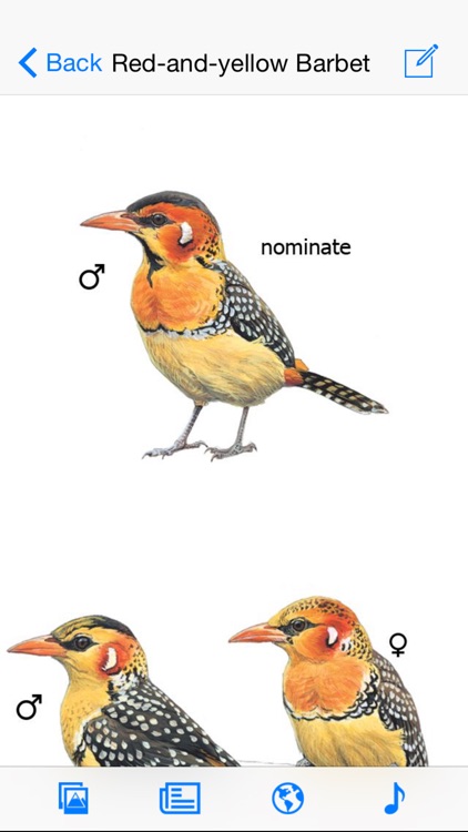 eGuide to Birds of East Africa
