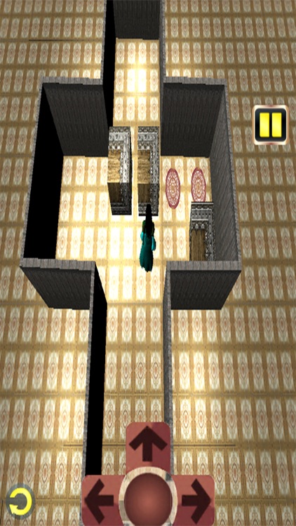 Real Sokoban 3d Game by Tim Martin