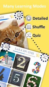 Learn Egyptian Arabic Vocabulary Words FlashCards screenshot