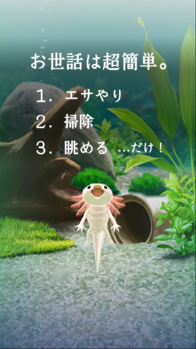 癒しのウーパールーパー育成ゲームのスクリーンショット2 癒しのウーパールーパー育成ゲームのスクリーンショット2