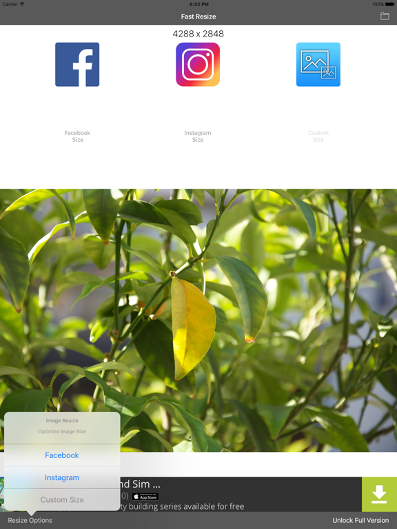 Screenshot #4 pour Fast Resize