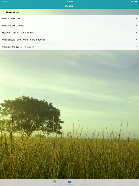 CeQOL – Inguinal Hernia iPad screenshot 4 - Medical app