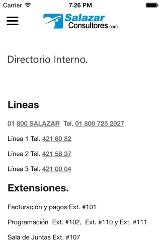 Salazar Consultores screenshot 3