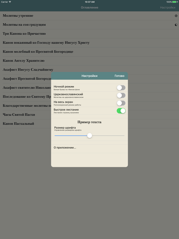 Молитвослов православный iPad screenshot 4 - Book app