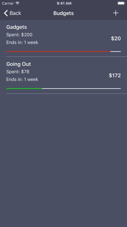 Debit & Credit - Personal Finance Manager screenshot-4