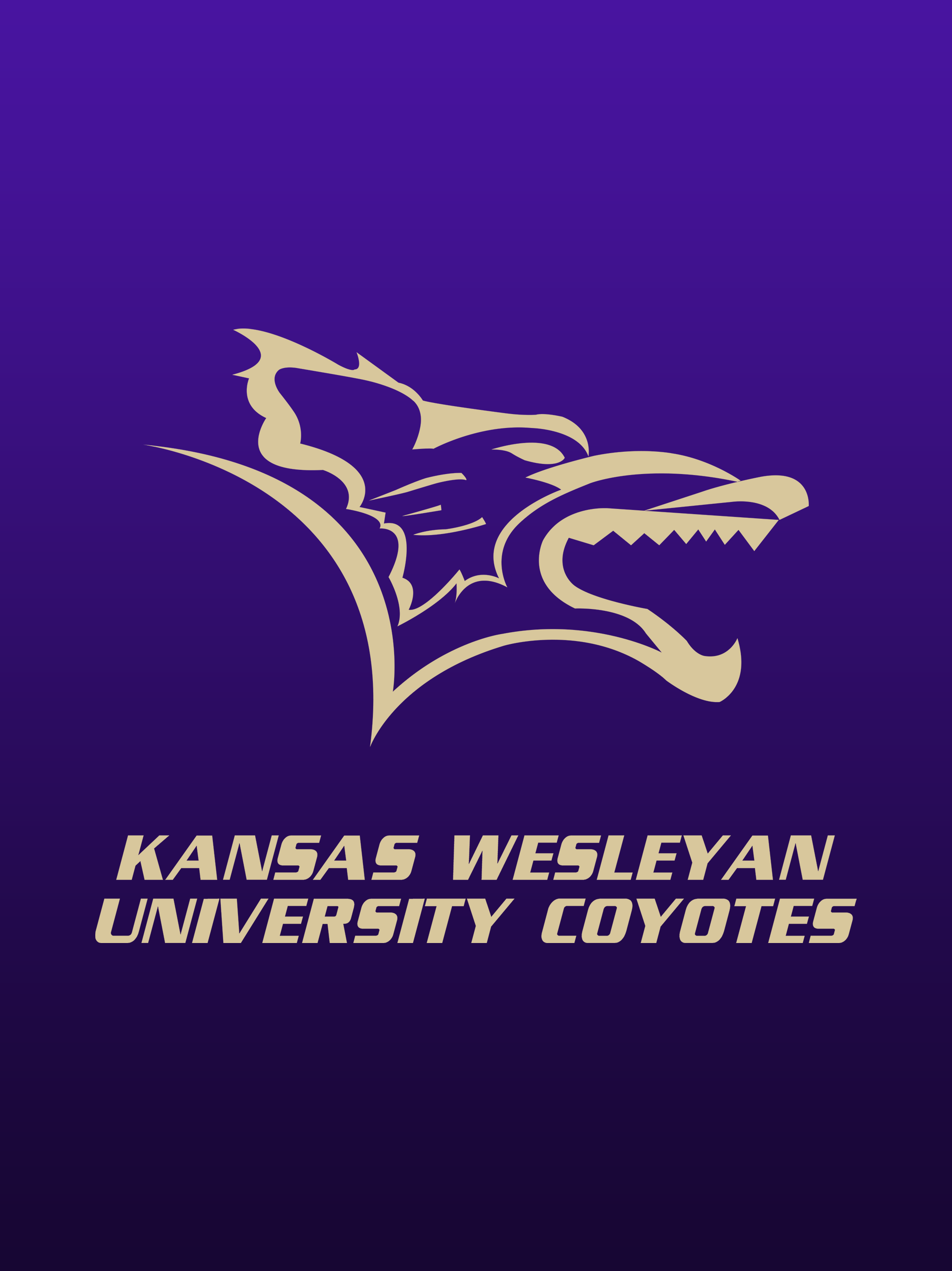Kansas Wesleyan Coyotes screenshot 6