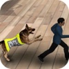 Police Dog Catch Criminals Sim