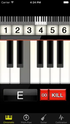 Pitch Pipe+ iPhone image 4