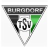 TSV Burgdorf Faustball