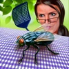 Fly Insect Wild Life Simulator