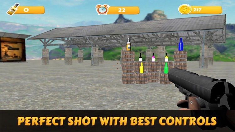 Army Bottle Shoot Game