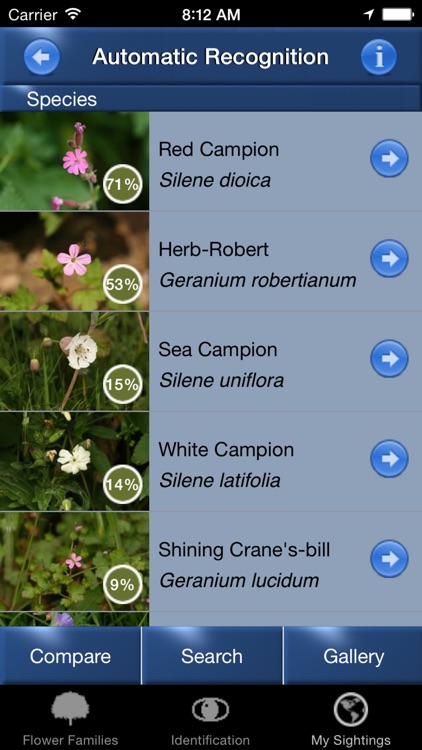 Wild Flower Id Netherlands