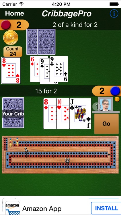 Cribbage Pro