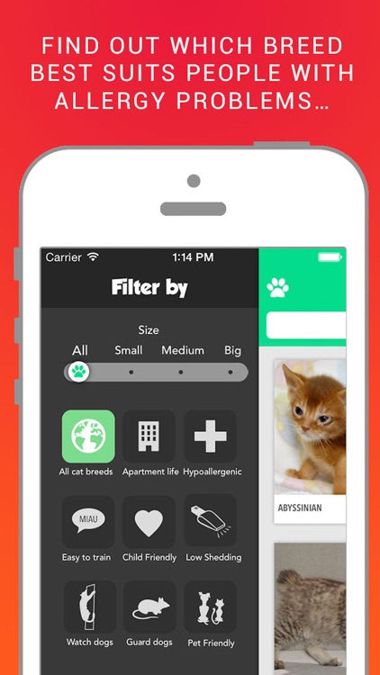 Cat File: The complete guide of cats breeds