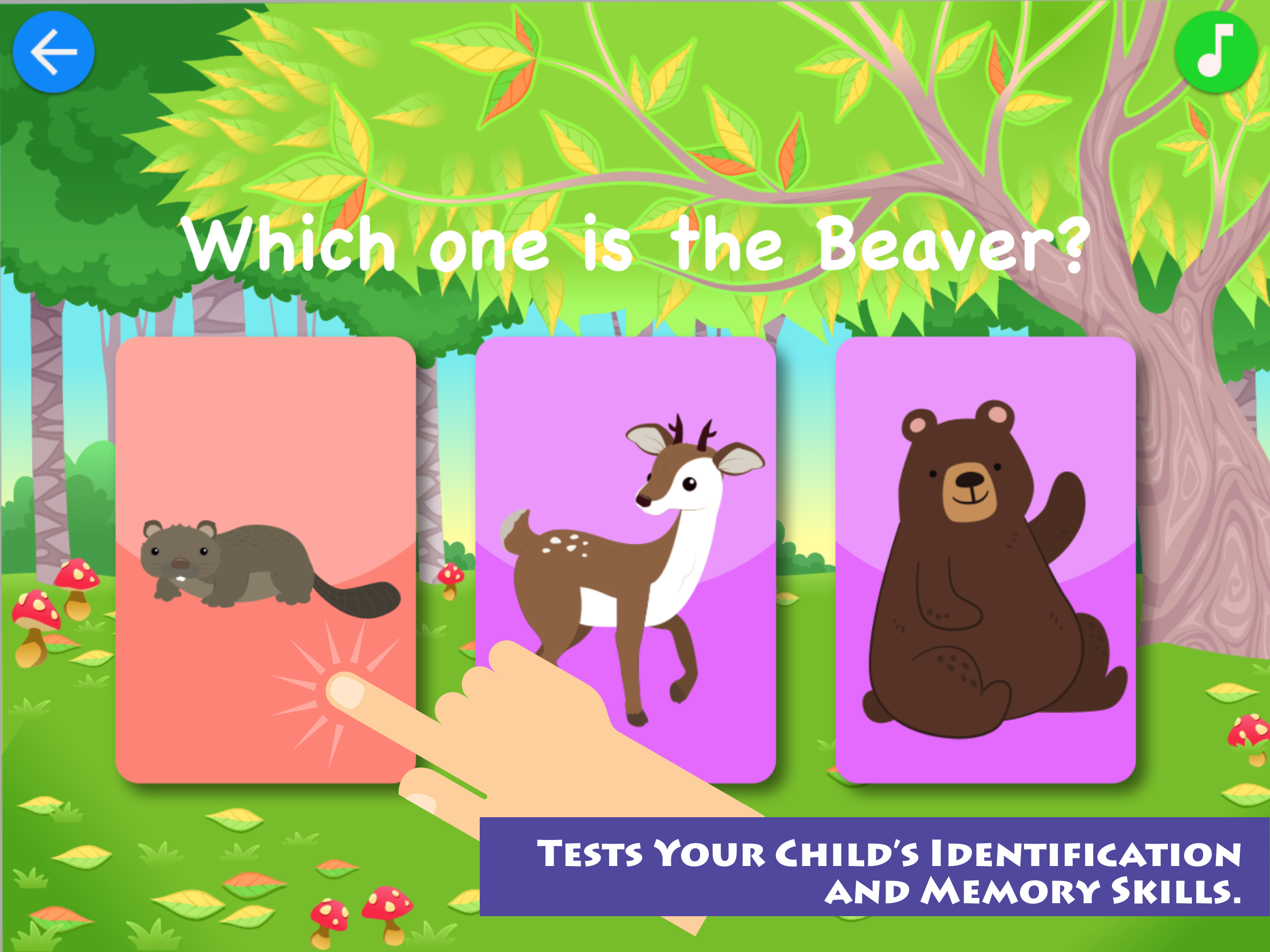 Match & Learn Animals Kids App