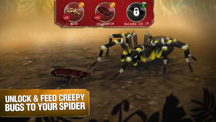Real Scary Spiders screenshot-2