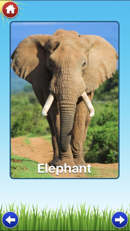 Zoo Sounds Lite - A Fun Animal Sound Game for Kids by Tantrum Apps