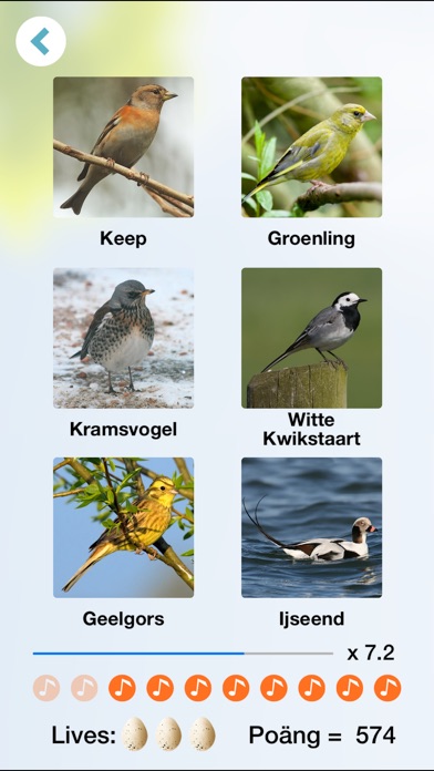 Kvitter! Fågelsång från Sverige och Västeuropa + - iOS App Gallery