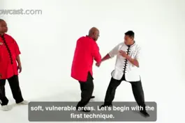Game screenshot Shaolin Kung Fu Master Class hack