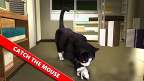 Cat Vs Mouse Simulator 3D screenshot