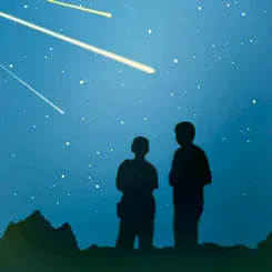 Meteor Shower Guide Customer Service