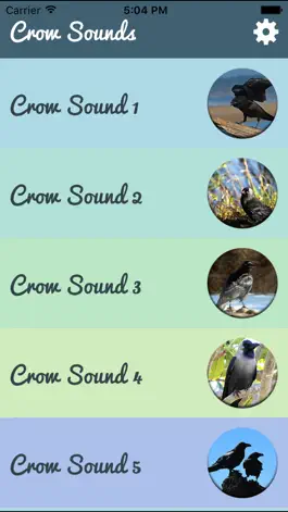 Game screenshot Crow Sounds – Crow Call Sound apk