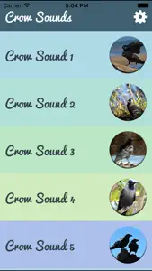 Crow Sounds – Crow Call Sound screenshot #2 for iPhone