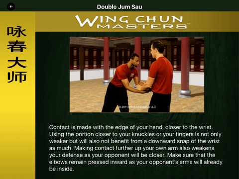 Wing Chun Masters 2 - HDのおすすめ画像3
