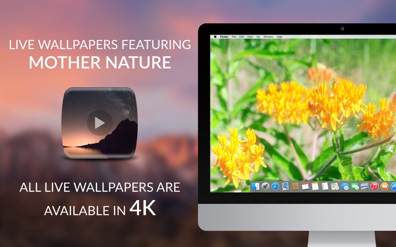 Screenshot #2 pour LivingDesktop 4K - Live Videos for Multi Monitors