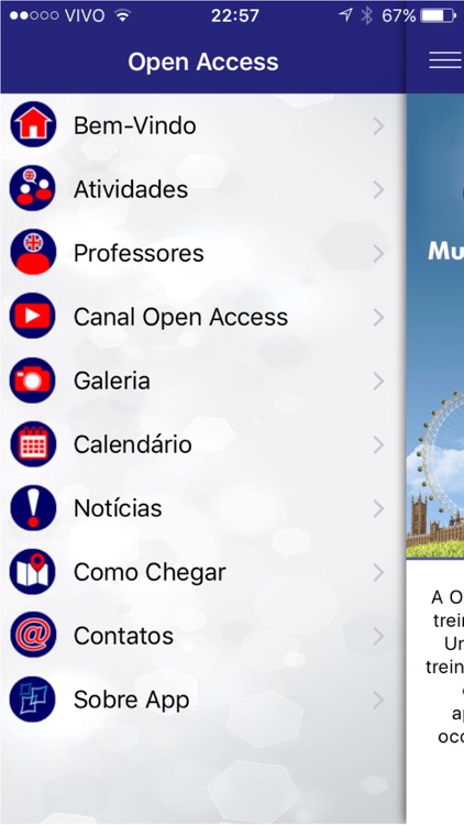 Open Access Idiomas e Gestão