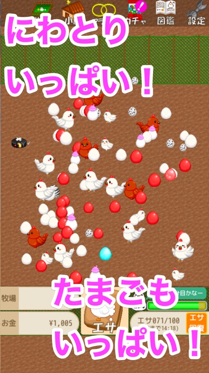 にわとりブリード！！