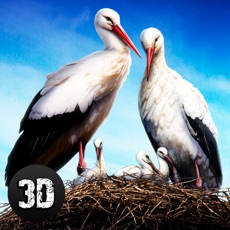 Activities of Flying Stork Simulator: Bird Life 3D