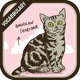 Chats et chatons ombre Matching Game