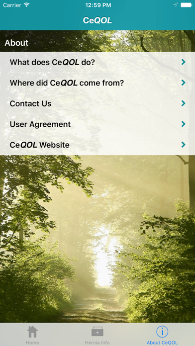 CeQOL – Inguinal Hernia iPhone screenshot 5 - Medical app