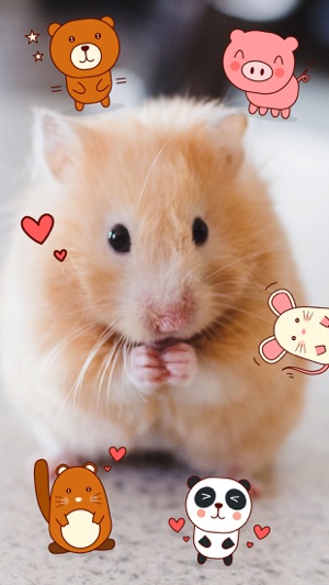 Cute Pets Sticker Pack - Say it the animal way(圖1)-速報App