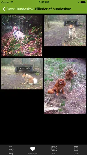 Screenshot von Hundeskove I Danmark - Hundeskovene.dk auf dem iPhone 5