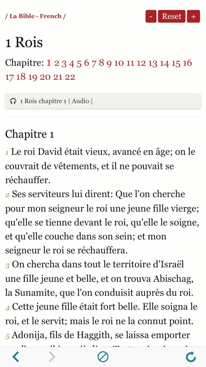 Audio Holy Bible in French - La Bible Louis Segond