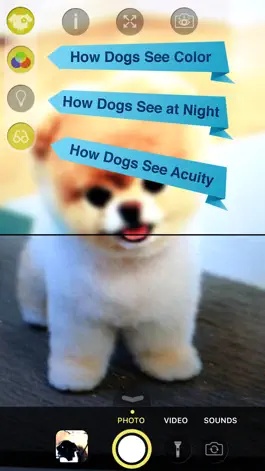 Game screenshot Dog Vision HD apk