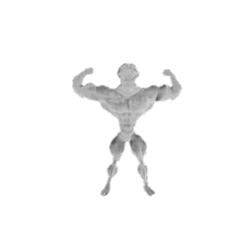 Bodytemples Nutrition