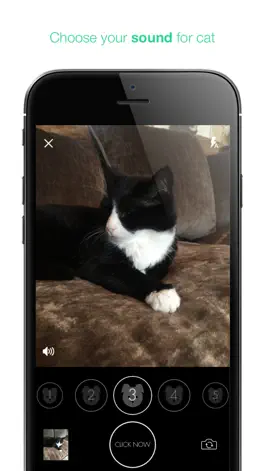 Game screenshot Click-Now hack