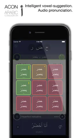 Game screenshot ACON the Arabic Verb Conjugator apk