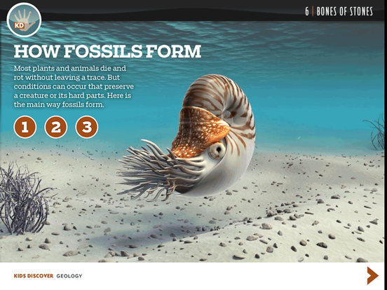 Screenshot #6 pour Geology by KIDS DISCOVER