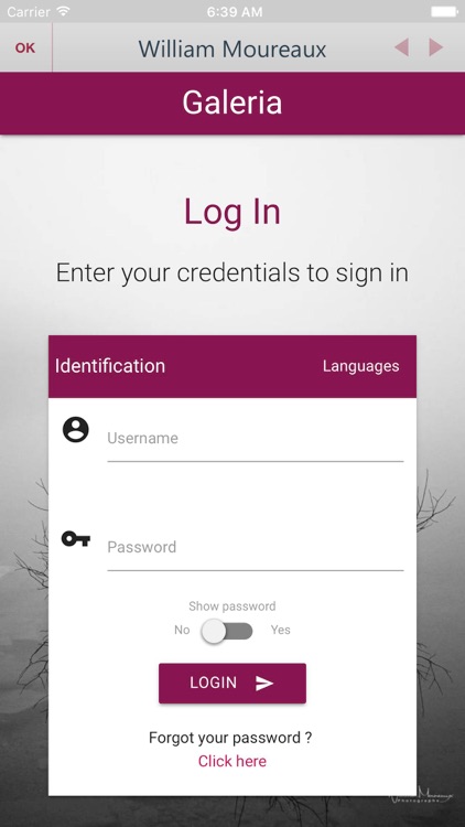 William Moureaux Photographe screenshot-3