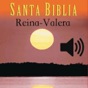 Santa Biblia Version Reina Valera (con audio) app download
