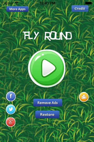 Fly Round screenshot 2